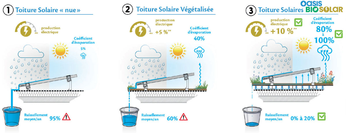 comparatif toiture végétale solaire