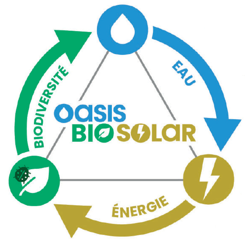 oasis-biosolar