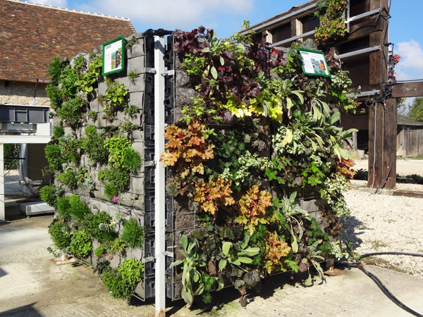 Recherche de nouvelles palettes végétales pour murs végétaux